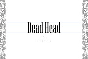 Virgo Antique Display, a Serif Font by Vintage Type Company (Thumbnail 11 of 15)