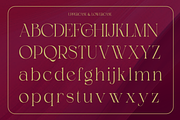Shealth - Timeless Classic Modern, a Serif Font by Qweera Studio (Thumbnail 11 of 12)