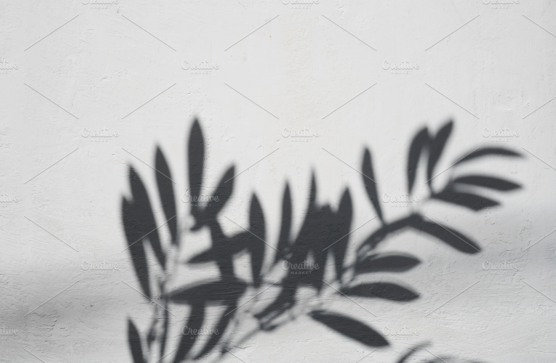 Shadow of a branch with leaves on a light textured wall, an Abstract Photo by ndanko