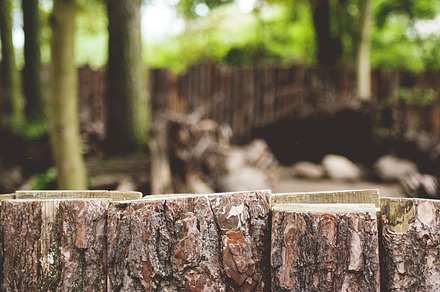 Wooden fence stock photograph