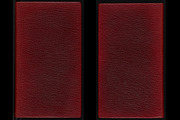 Antique Book Cover Textures, a Texture Graphic by Blue Line Design (Thumbnail 21 of 25)