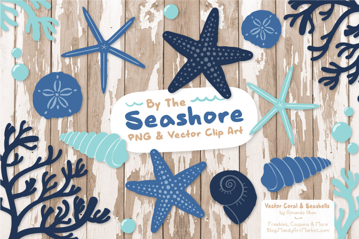 Seashells Clipart in Oceana, an Illustration by Amanda Ilkov (Photo 2 of 5)