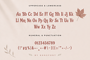 Retro Autumn - Vintage Serif Font, a Serif Font by overlaytemplates (Thumbnail 4 of 5)