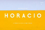 The Elegant Sans Serif Font Bundle, a Sans Serif Font by Zone 6 (Thumbnail 2 of 11)