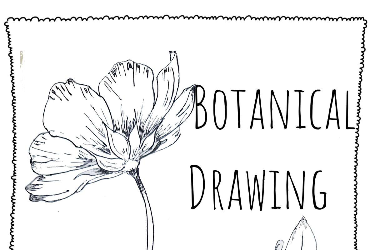 Botanical Notebook Template Editable, an Illustration by Little Wren Illustrates (Photo 3 of 7)