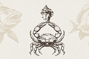 340 Sea Creatures illustrations, an Animal Illustration by Nocturnal Wolf (Thumbnail 2 of 15)
