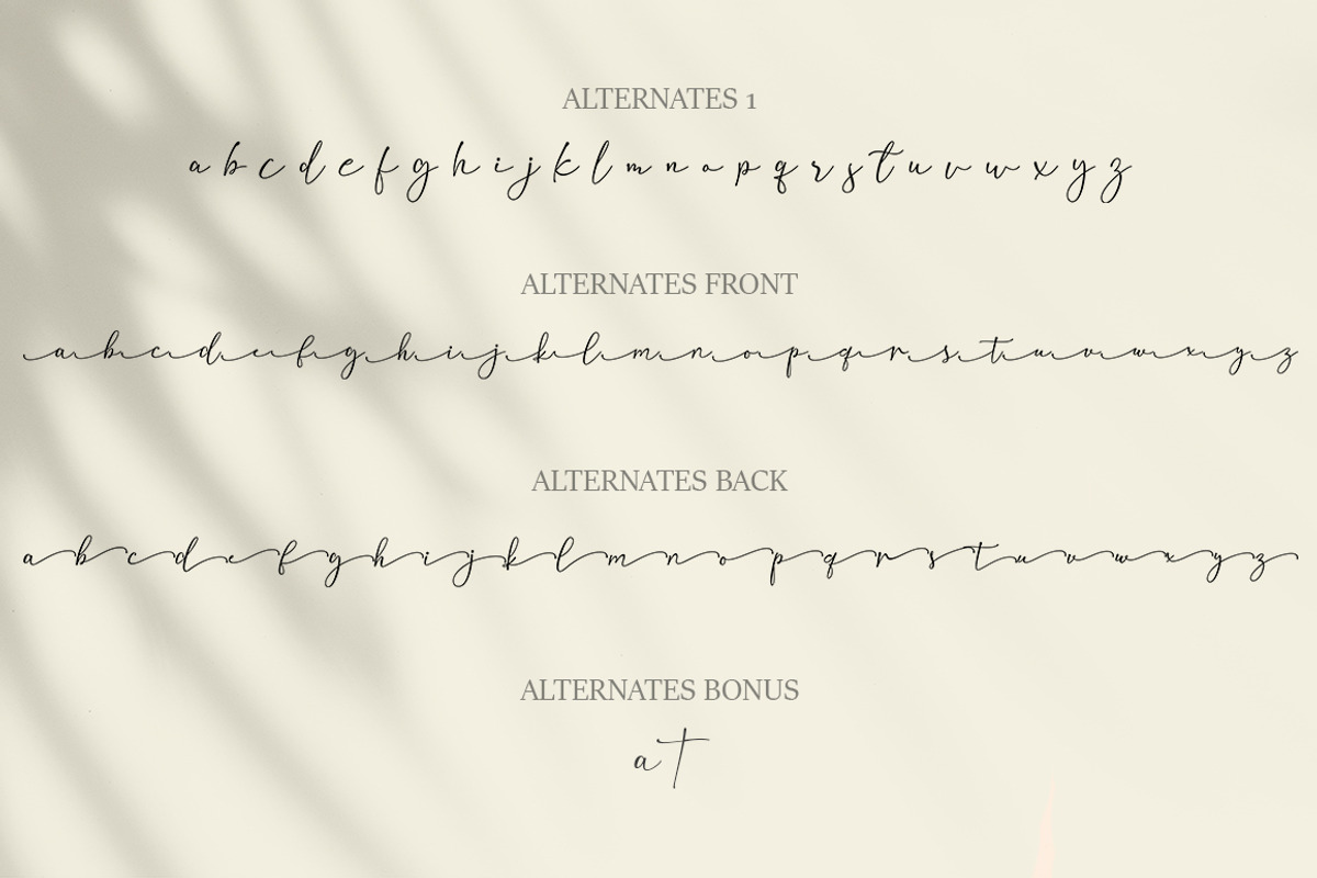 Rose Madina, a Serif Font by Struggle Studio (Photo 10 of 12)