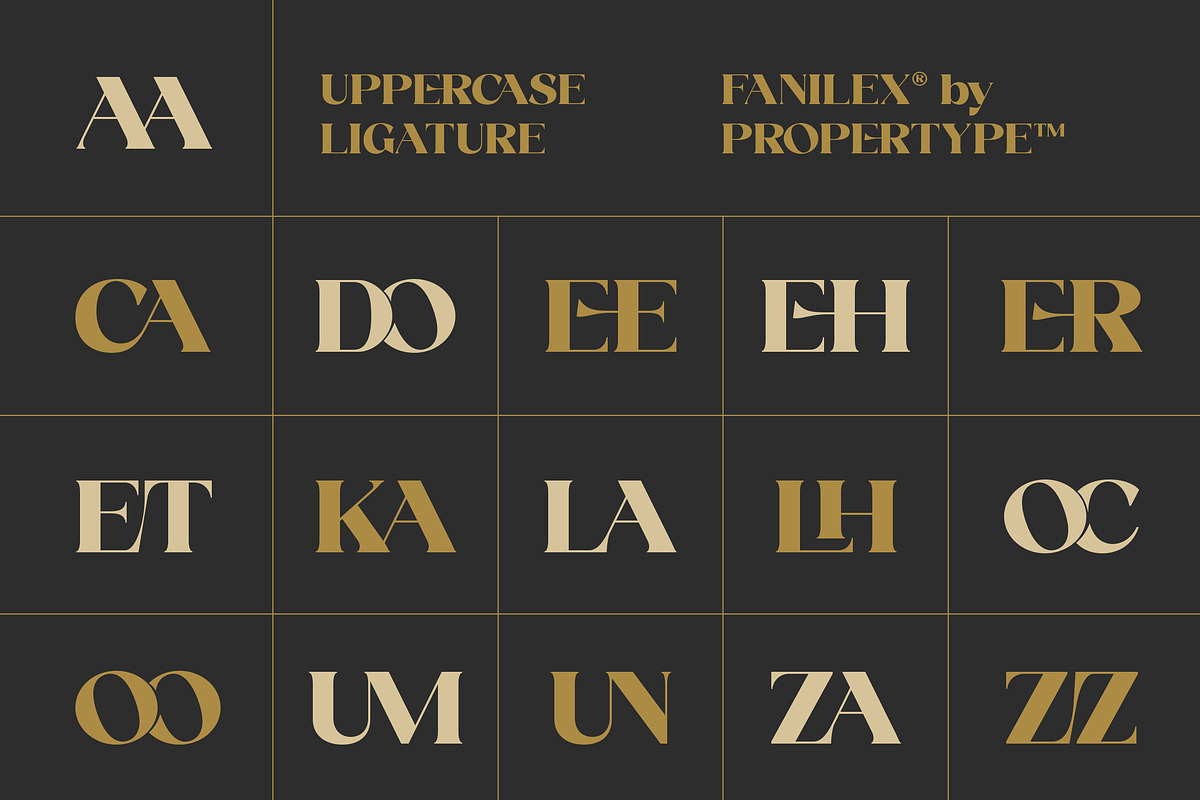 Fanilex, a Serif Font by Propertype (Photo 12 of 16)