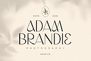 Wordmark - Display Logo Font, a Sans Serif Font by Hamz Studio (Thumbnail 4 of 15)