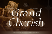 Blither Herasi - Elegant Serif, a Serif Font by Burntilldead (Thumbnail 10 of 12)