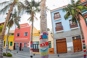 Centered view of palm tree with colorful knitted street art in P, a Photo by Pictures for you!!!!!!!!!