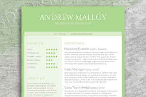 Fresh Mint CV Template