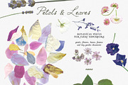 Petals Garden Collage Kit, an Object Graphic by Purple (Thumbnail 11 of 15)