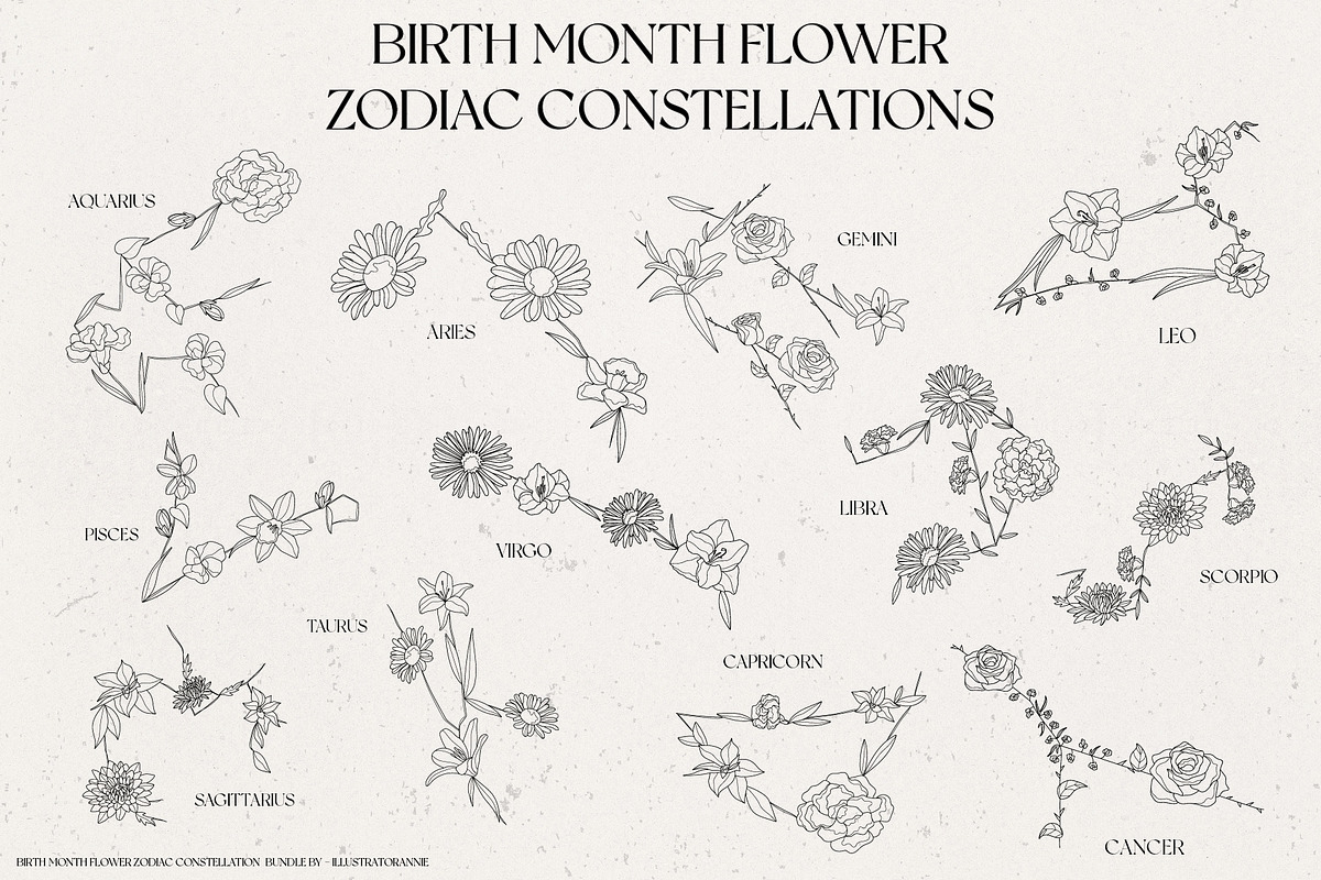 Birth Month Zodiac Constellations, an Illustration by IllustratorAnnie (Photo 1 of 5)