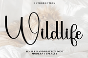 Wildlife, a Handwritten Font by FreshTypeINK (Thumbnail 1 of 7)