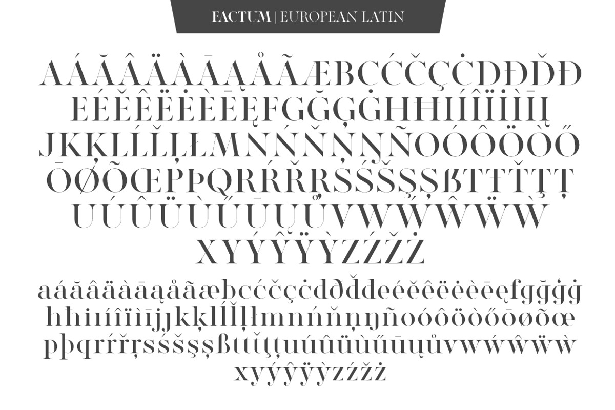 Factum font family, a Serif Font by Fontop (Photo 3 of 12)