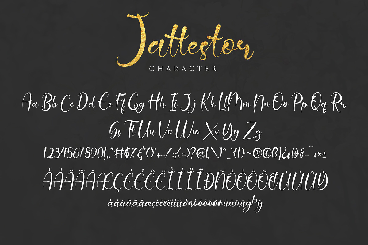 Jattestor, a Script Font by sabrcreative (Photo 9 of 10)