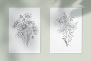 Ink Vector Chamomile, a Decorative Illustration by Sweet_print (Thumbnail 5 of 6)