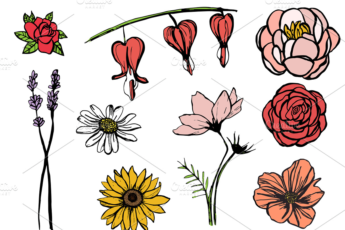 Botanical Bloom, an Illustration by Jessica Johnston (Photo 3 of 7)