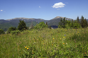 Summer Gorgany massiv mountains scenery view from Sevenei hill (, a Nature Photo by YuriyB