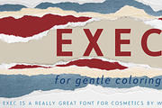 Exec, a Sans Serif Font by Wiescher-Design (Thumbnail 11 of 12)