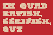 Quadratish Serif, a Font by Gaslight (Thumbnail 2 of 5)