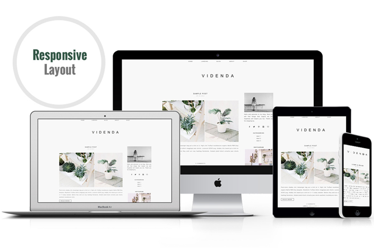 Responsive WP Theme - Videnda, a WordPress Template by Light Morango (Photo 3 of 4)