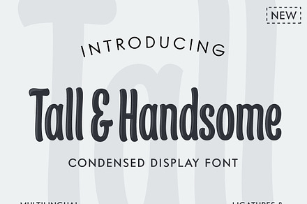 Tall & Handsome - Condensed Display