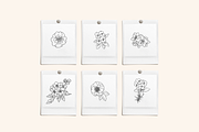 Flower Garden Vector Illustrations, a Decorative Illustration by Emma Webb Studio (Thumbnail 7 of 8)