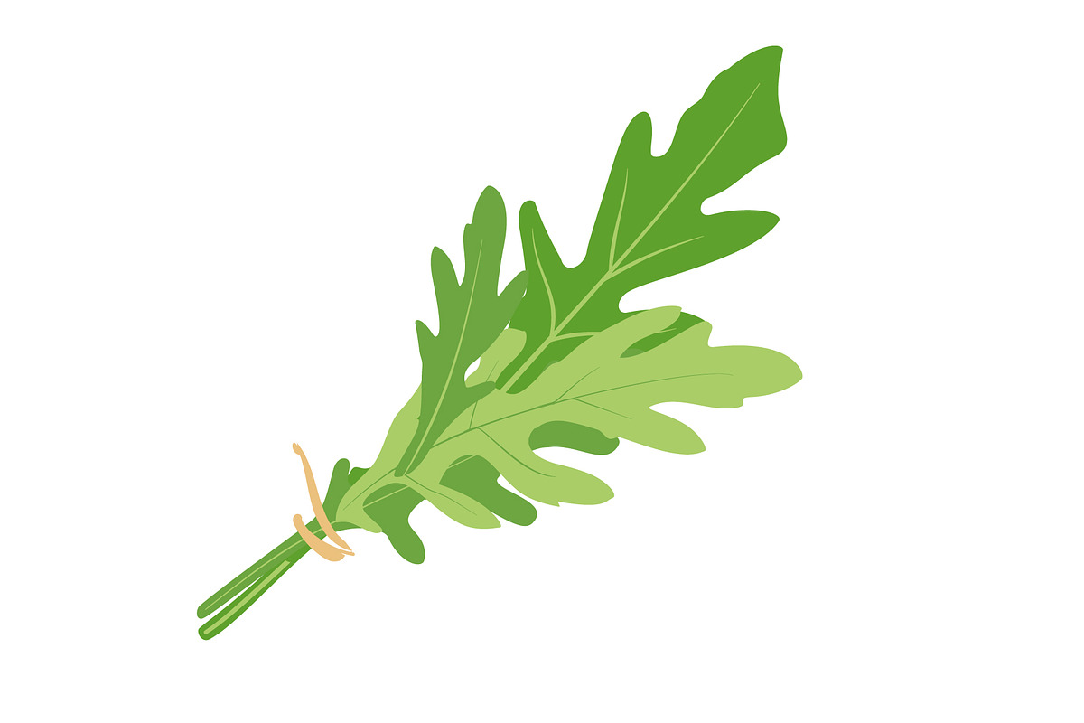 Green fresh arugula leaves, a Food Illustration by Viktorijareut