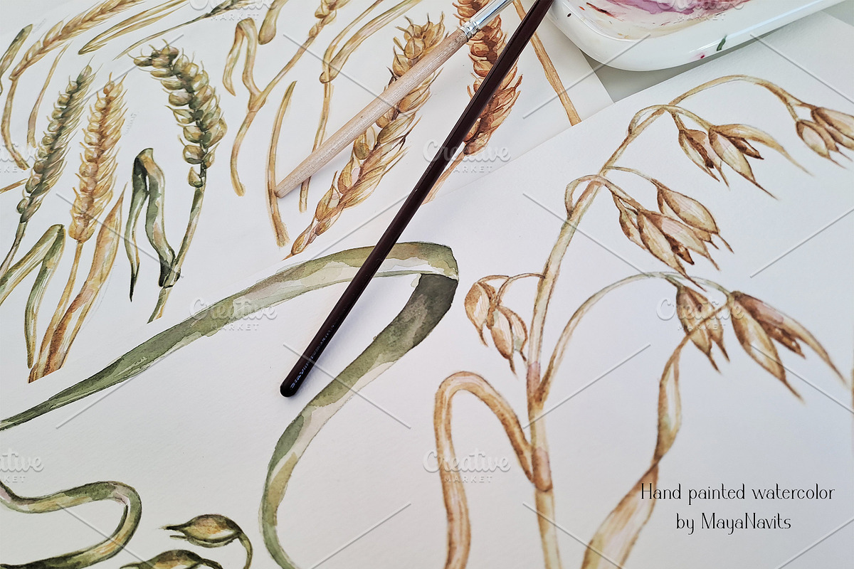 Watercolor Wheat & Field Flora, a Decorative Illustration by MayaNavits (Photo 12 of 13)