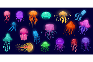 Glowing jellyfish. Cartoon medusa, an Animal Illustration by Stock-Smart-Start