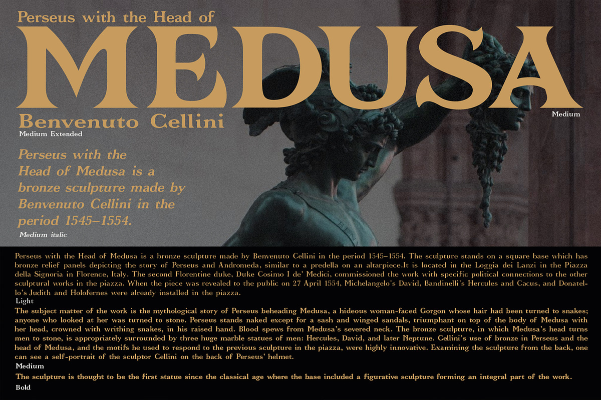 Necronos - Serif font family, a Serif Font by Artistic & Unique (Photo 10 of 15)