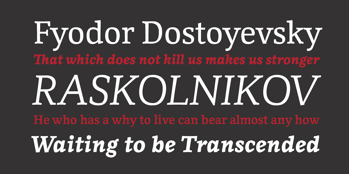 Monark, a Serif Font by YXType (Photo 4 of 10)
