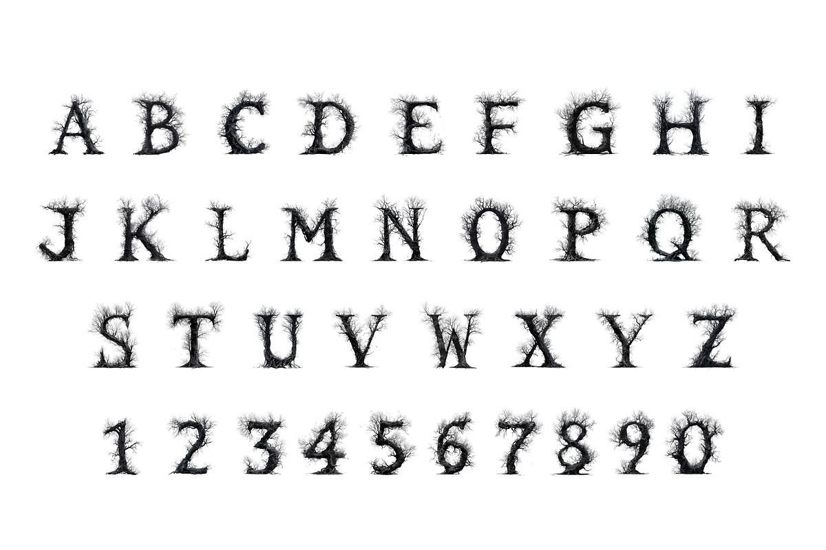 Spooky Forest, a Serif Font by Loudoun Design Co. (Photo 2 of 6)
