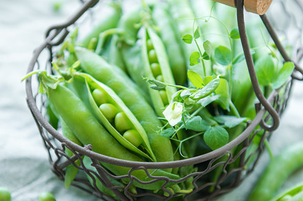 Basket with sweet pea pods, a Food & Drink Photo by Olena Rudo