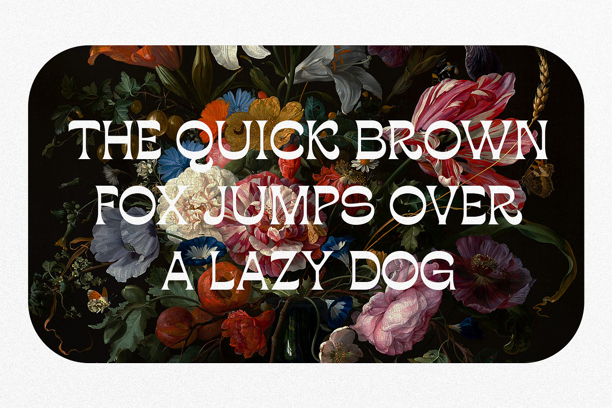 Bougerose a Modern Display Font, a Sans Serif Font by Typetemp Studio (Photo 3 of 16)