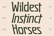 CS Melthar – Classic Display Font, a Sans Serif Font by Craft Supply Co. (Thumbnail 3 of 8)