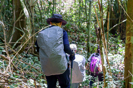 Hiking tourists wearing backpacks outdoors trekking in forest., a Sports & Recreation Photo by Casanowe-studio