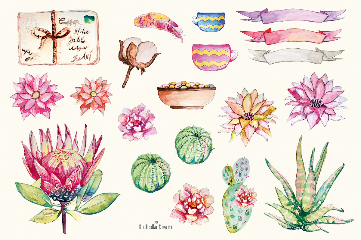 Watercolor cactus and succulents, a Decorative Illustration by Siriliadka Dreams (Photo 7 of 9)