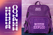 Disco Groov Retro Playful Serif, a Serif Font by timelesstype.co (Thumbnail 12 of 20)
