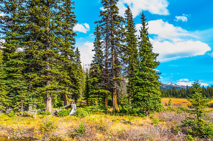 The concept of eco-tourism and active tourism, a Nature Photo by kavram