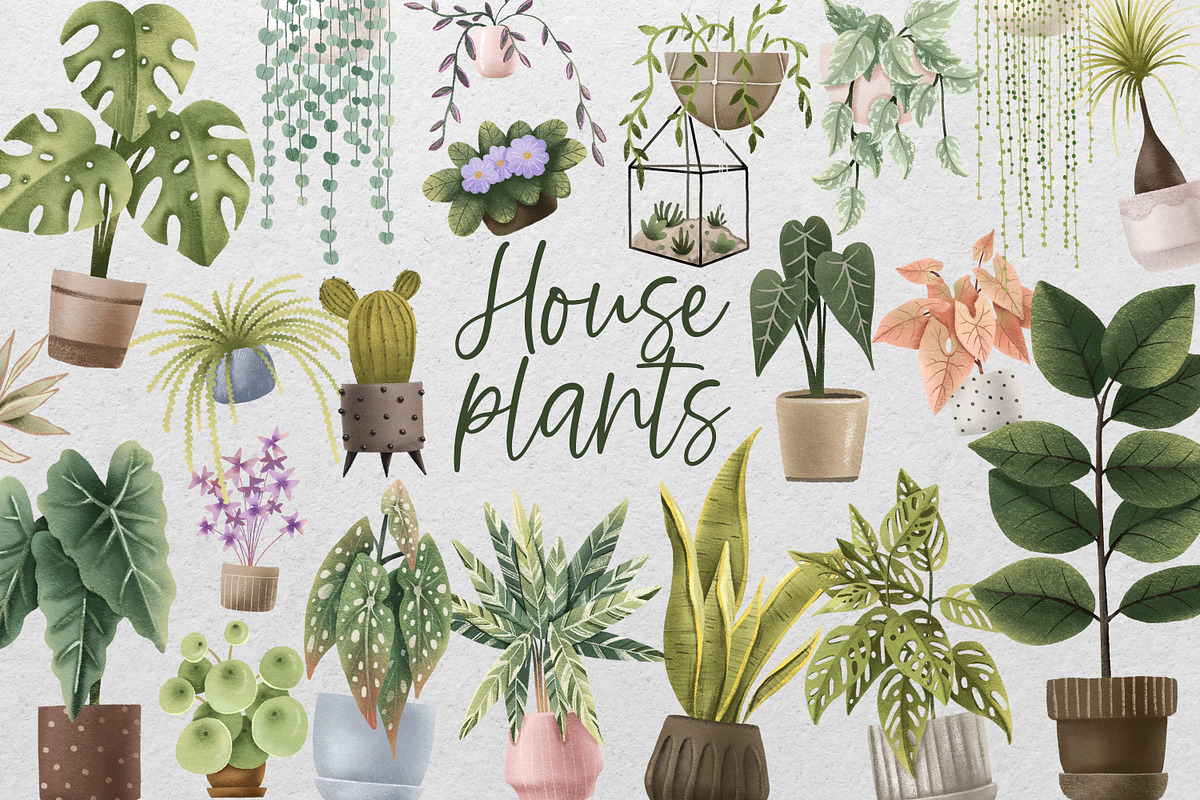 Cozy House Plants Clipart, a Decorative Illustration by the_myro (Photo 1 of 10)