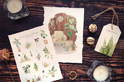 Cosy House Plants Watercolor Clipart, an Illustration by Julia M. Watercolor (Thumbnail 6 of 11)