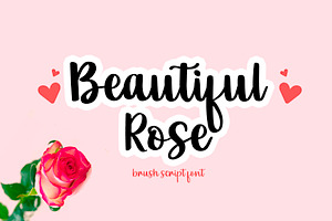 Beautiful Rose