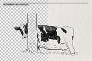Sketch of a cow PNG, an Animal Illustration by LOKSKIH (Thumbnail 2 of 7)