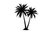 Summer Beach Palm Bundle, an Illustration by jahid234 (Thumbnail 21 of 21)