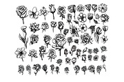 15151 in 1 Doodle Giant bundle, an Object Illustration by TKDoodle (Thumbnail 121 of 144)