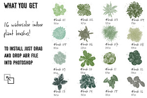 Photoshop Brush Set WATERCOLOR PLANT