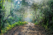Fog Smoke Brush & PNG, a Brush Add-On by MRI STUDIO (Thumbnail 19 of 46)